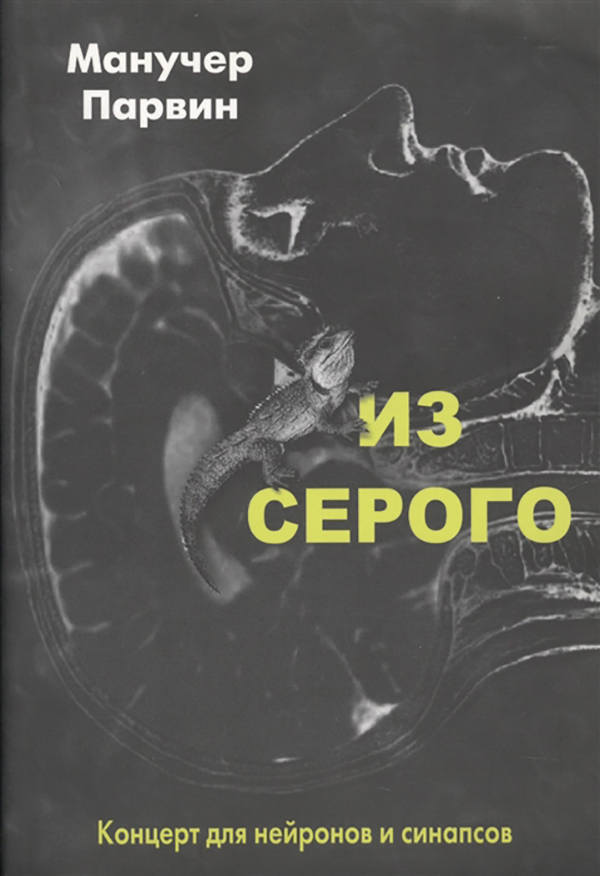 

Из Серого. концерт для Нейронов и Синапсов