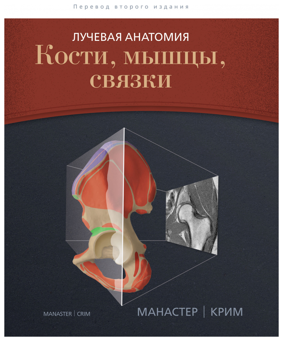 фото Лучевая анатомия: кости, мышцы, связки издательство панфилова