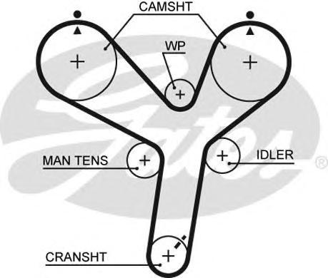 фото Ремень грм gates 5536xs