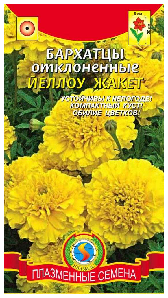 

Семена Бархатцы отклоненные Йеллоу жакет, 45 шт, Плазмас