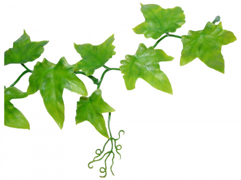 фото Искусственное растение для террариума lucky reptile ivy bush, пластик, 60см