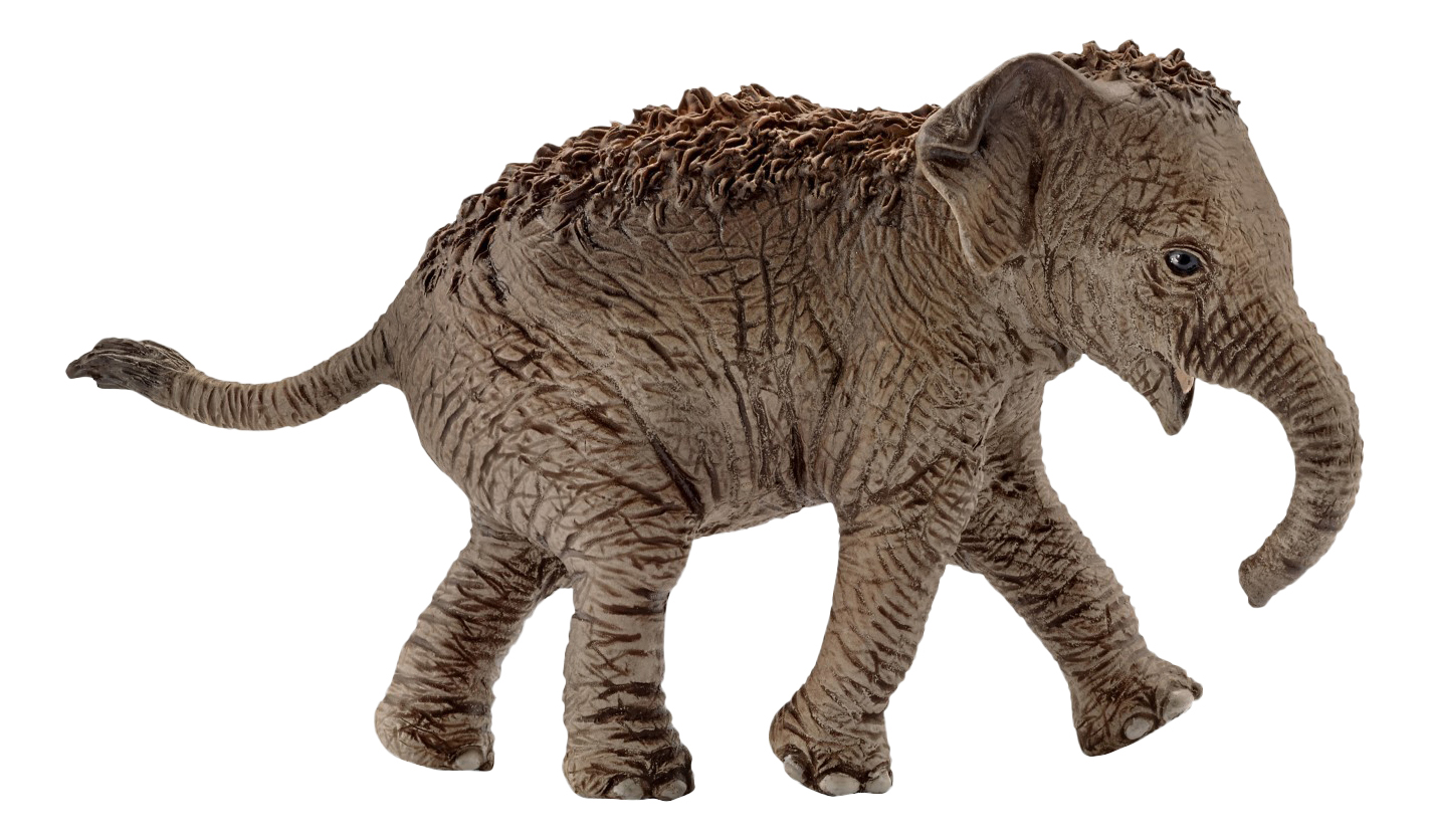 фото Фигурка животного schleich азиатский слон, детеныш