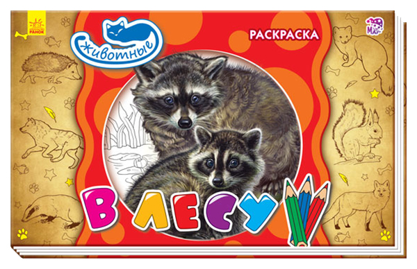 

В лесу. Раскраска