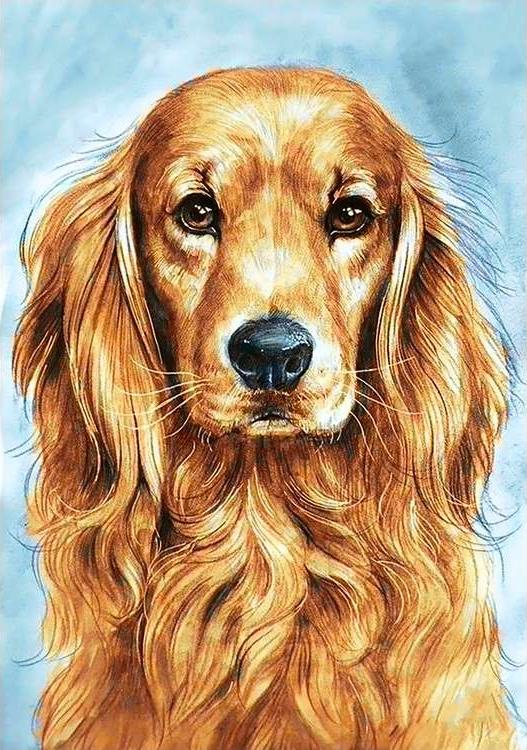 

Алмазная вышивка Гранни Преданный пёс, 19x27 см, Преданный пёс