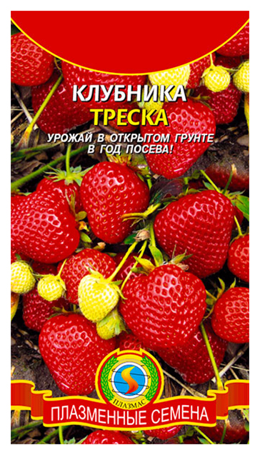

Семена Клубника Треска, 10 шт, Плазмас