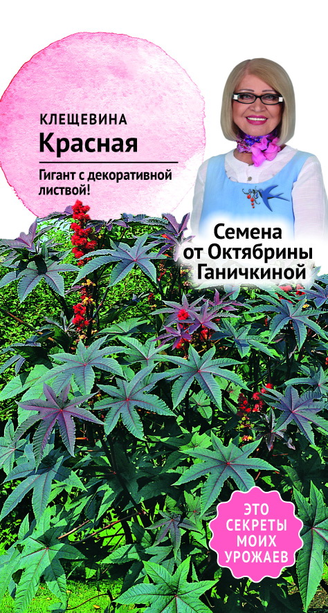Семена клещевины Красная 2.0 г, Октябрина Ганичкина