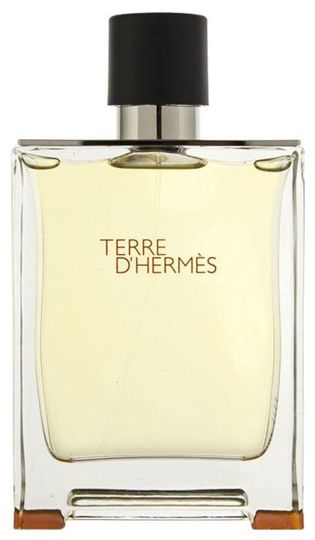 Туалетная вода Hermes Terre D'Hermes 100 мл туалетная вода женская christine lavoisier parfums elements terre земля 50мл