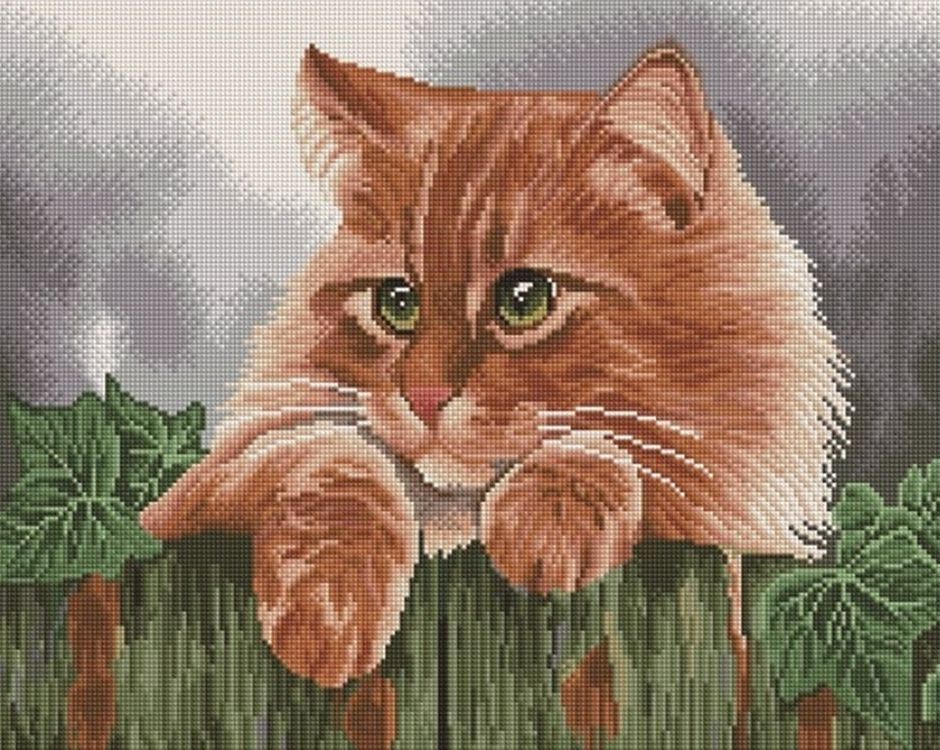 

Алмазная вышивка Painting Diamond Рыжик, 40x50 см, Рыжик