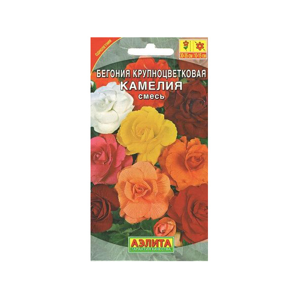 

Семена Бегония крупноцветковая Камелия, Смесь, 10 шт, АЭЛИТА