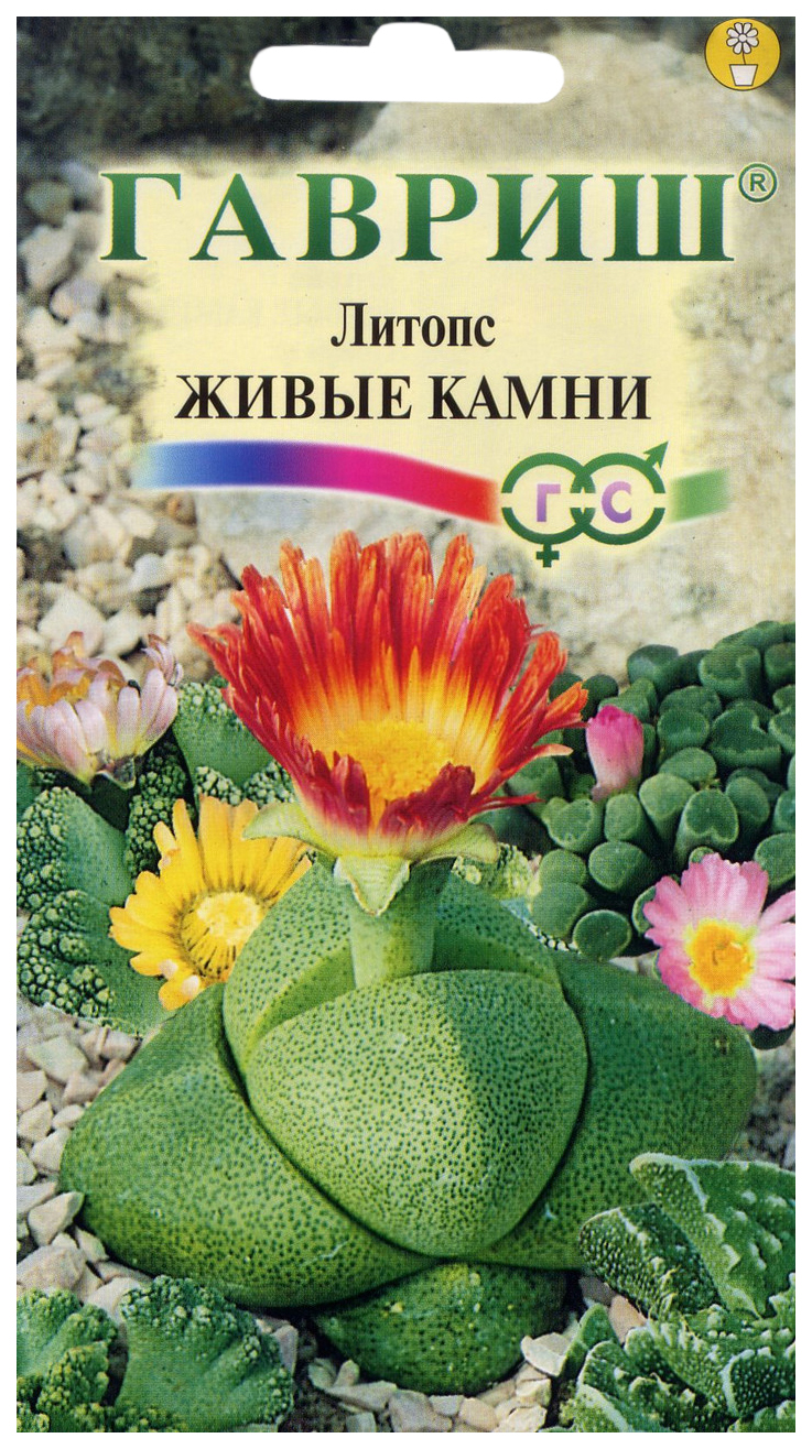 

Семена литопс Гавриш Живые камни 54896 1 уп.