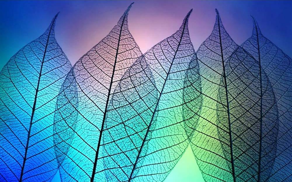 фото Алмазная вышивка яркие грани цветные листья, 50x32 см