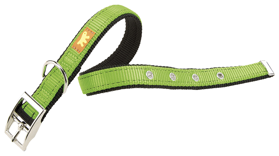 фото Ошейник для собак повседневный ferplast, 35-43см х 20мм, нейлон, зеленый