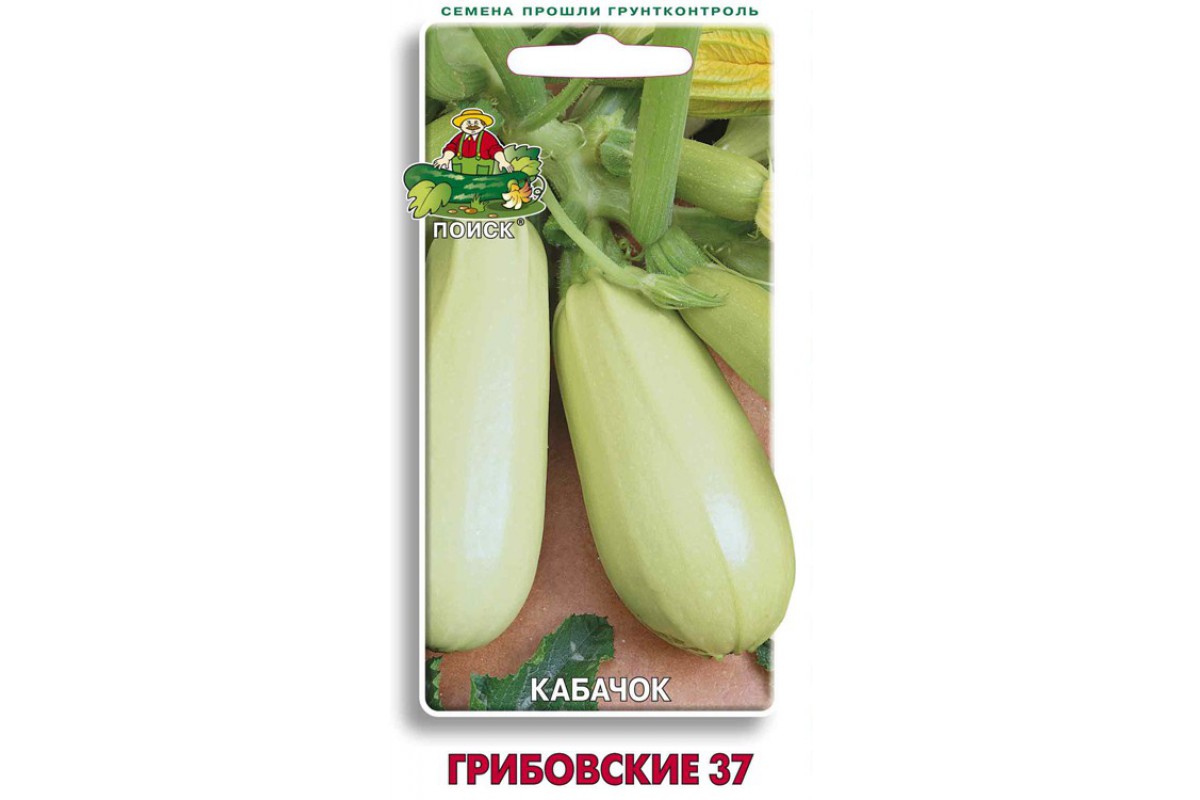

Семена Кабачок Грибовские 37, 12 шт, Поиск, 53719