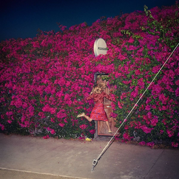 

Feist "Pleasure" (2LP)