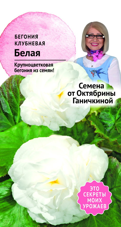 

Семена бегония Семена от Октябрины Ганичкиной клубневая Белая 1 уп.
