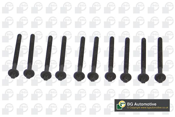 

Комплект болтов ГБЦ BGA BK3381