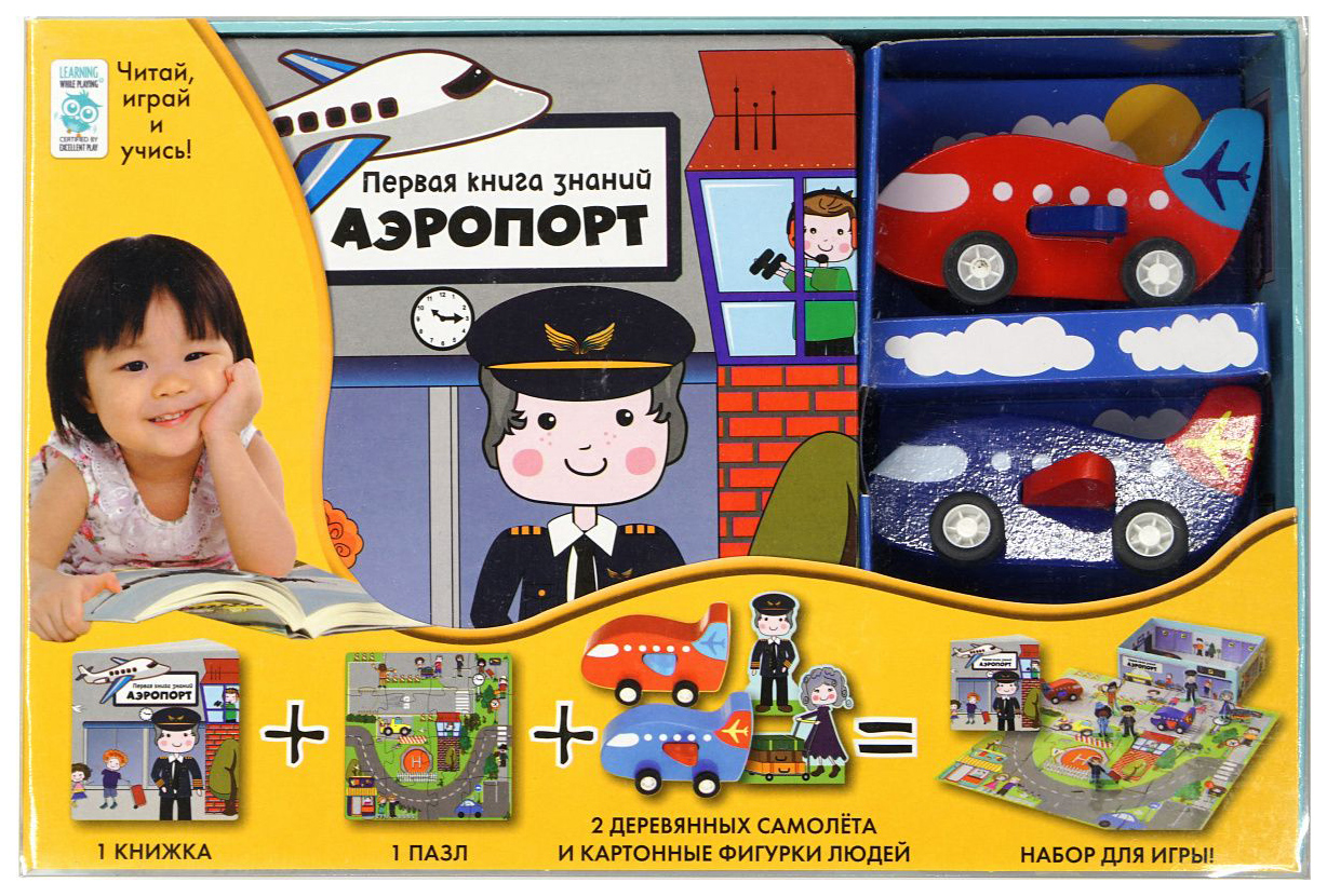 

Книга Аэропорт
