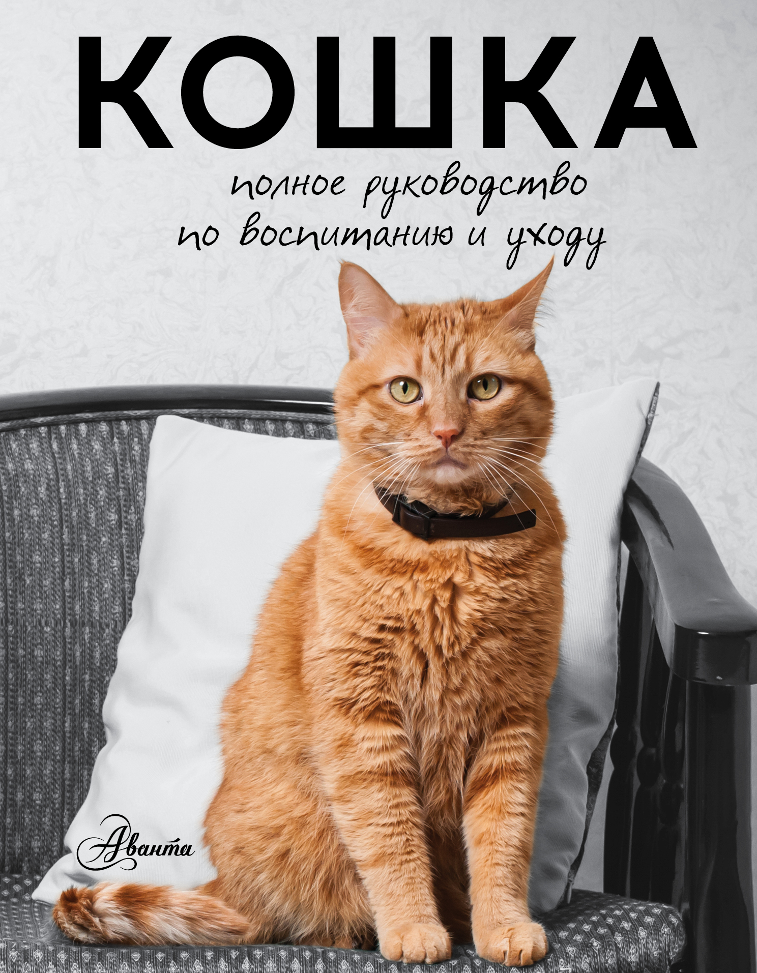 фото Книга кошка, полное руководство по воспитанию и уходу аст