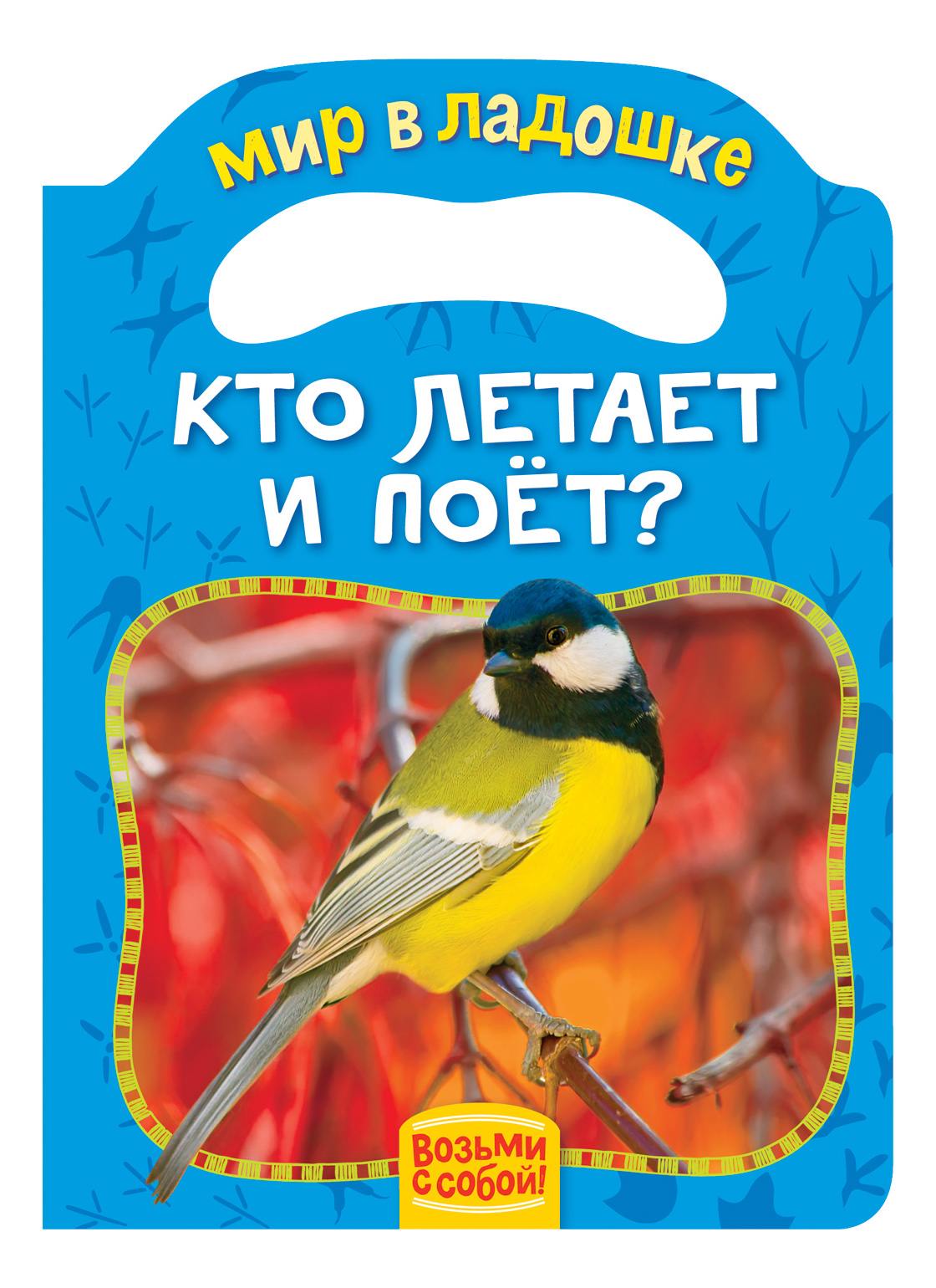 

Кто летает и поет, Кто летает и поет