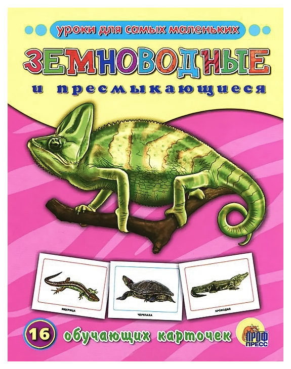

Обучающие карточки проф-Пресс Земноводные и пресмыкающиеся