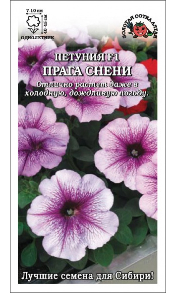 

Семена петуния Золотая сотка Алтая Прага Снени F1 187734 1 уп.