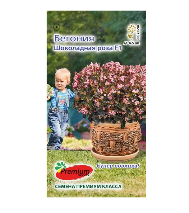 

Семена Бегония Шоколадная роза F1, 5 шт, Premium seeds