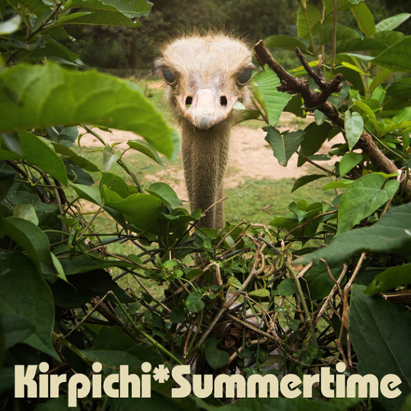 

Кирпичи Summertime (CD)