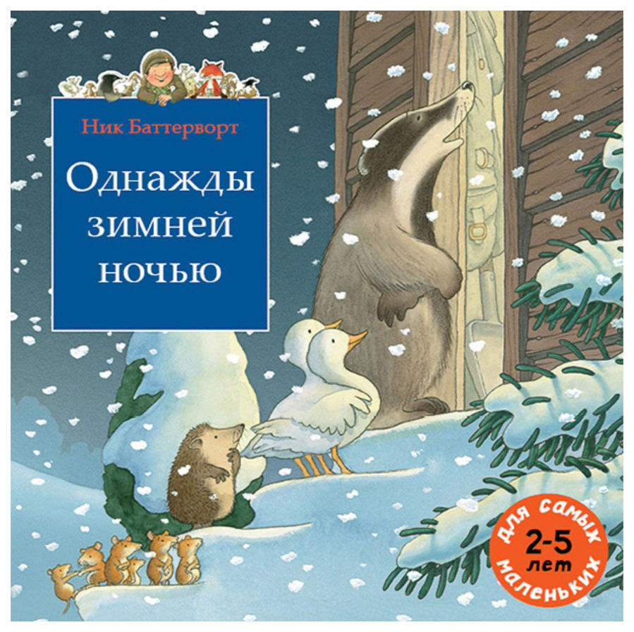 

Однажды зимней ночью