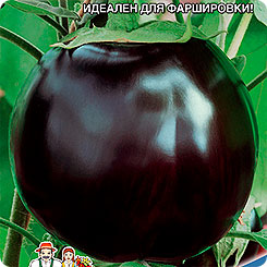 

Семена Баклажан Генеральский, 20 шт, Уральский дачник, 207320