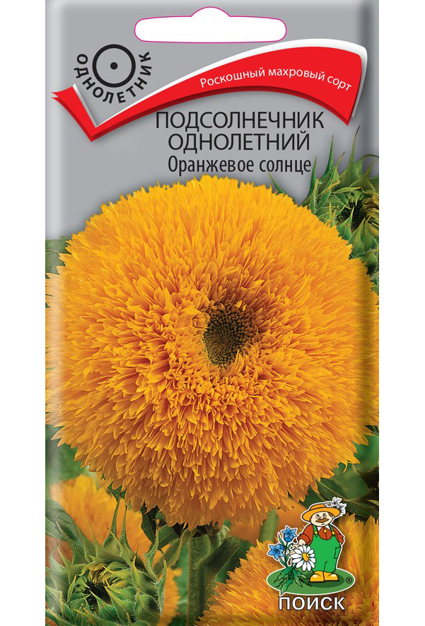 

Семена подсолнечник Поиск Оранжевое солнце 176561 1 уп.