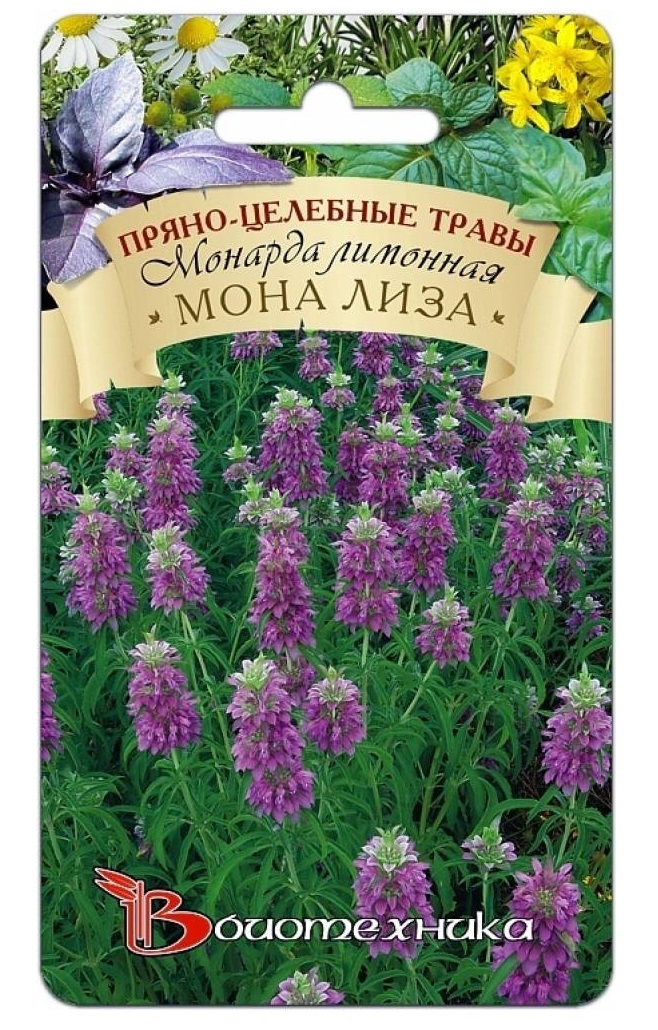 

Семена Монарда лимонная Мона Лиза, 0,1 г Биотехника