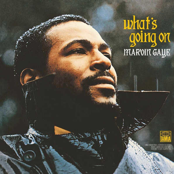 

Marvin Gaye  What's Going On (LP)