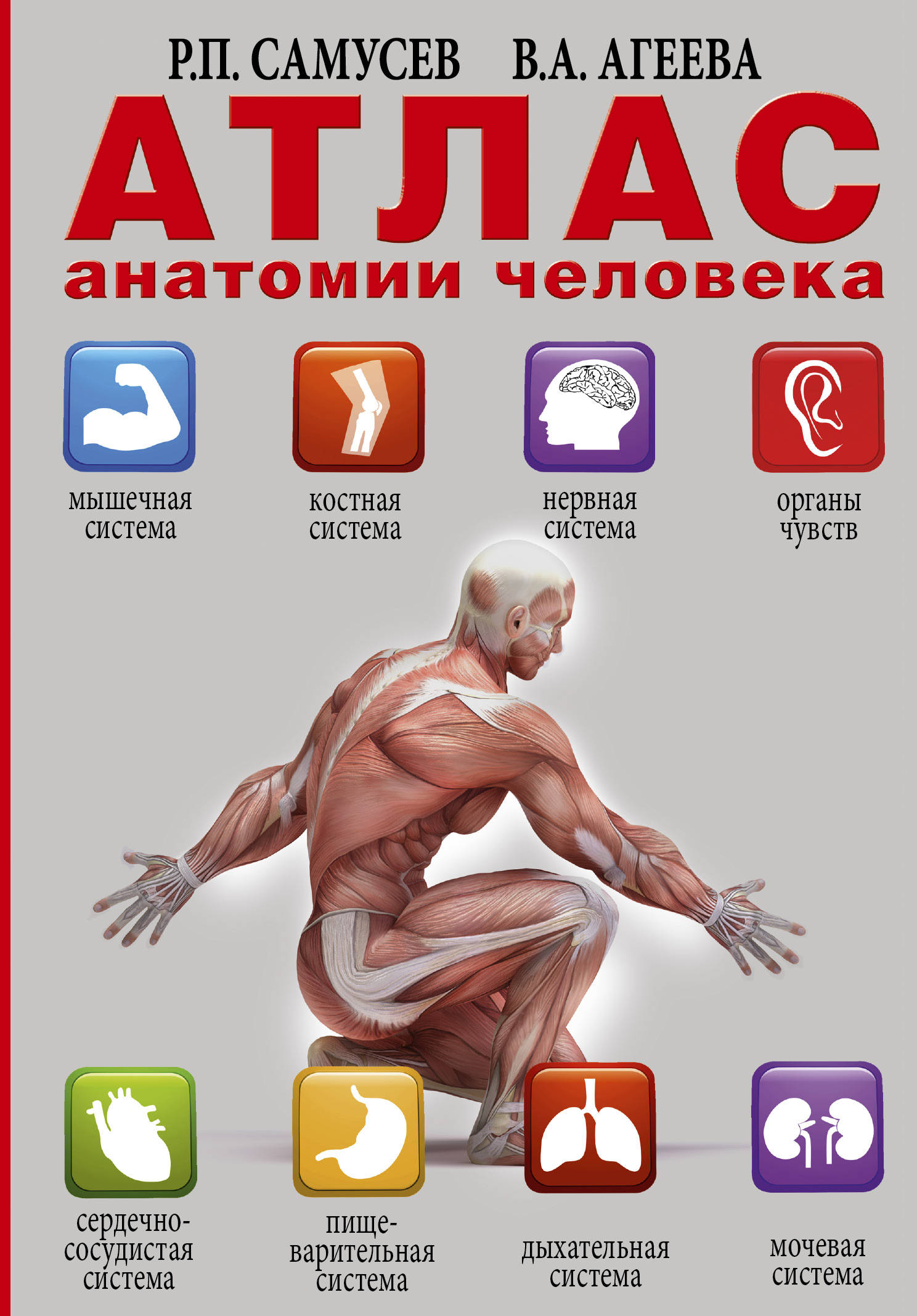 Атлас по анатомии. Атлас анатомии человека Самусев Агеева. Анатомия человека атлас саму. Атлас анатомиичеловека Самуев. Самусев Рудольф Павлович.