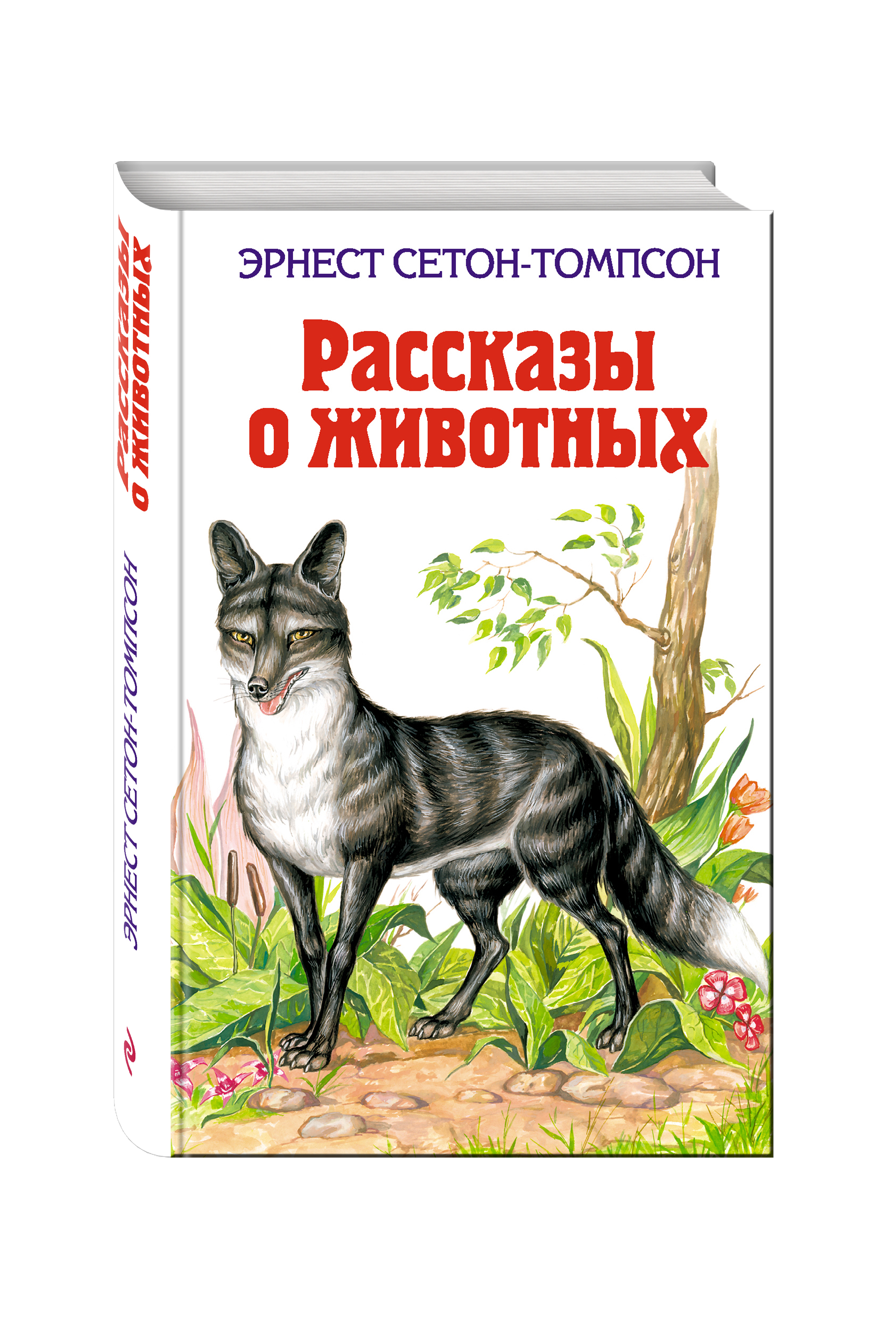 Э сетон томпсон рассказы. Рассказы о животных. Рассказы о животных книга. Рассказы о животных для детей. Томпсон рассказы о животных.