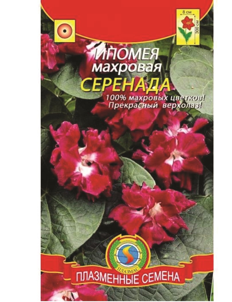 

Семена Ипомея махровая Серенада, 5 шт, Плазмас