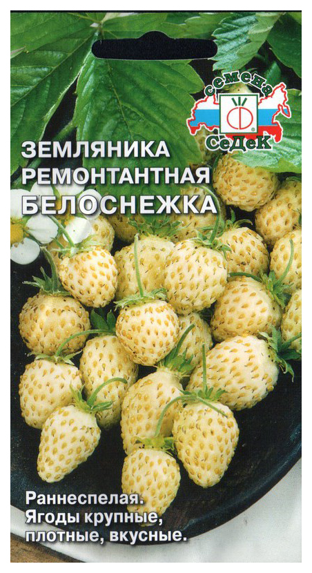 

Семена земляника СеДеК Белоснежка 53553 1 уп.