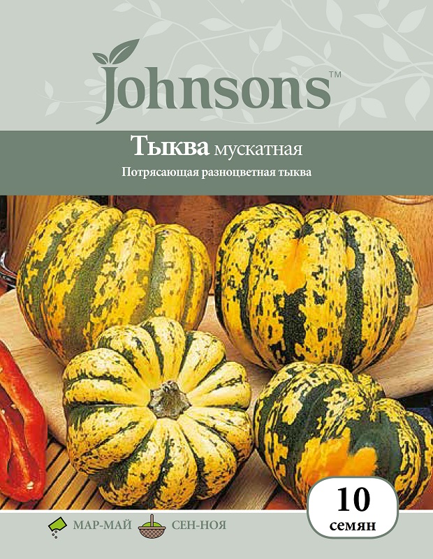 

Семена тыквы Мускатная, 10 шт/уп, Johnsons