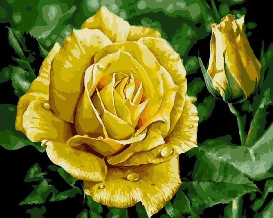 

Картина по номерам Paintboy Желтая роза, 40x50 см, Желтая роза