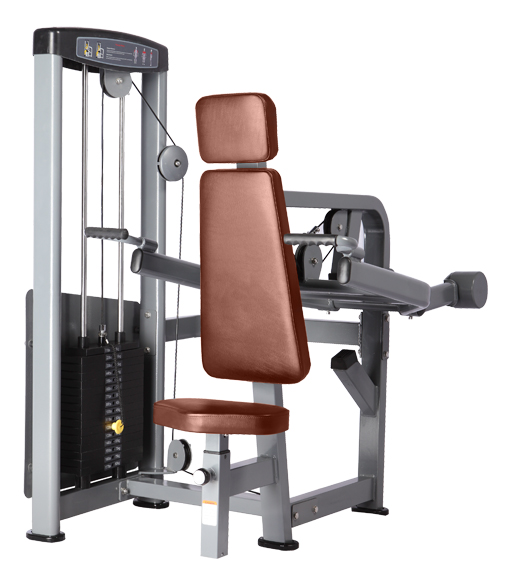 

Трицепс-тренажер Bronze Gym D-007, D-007
