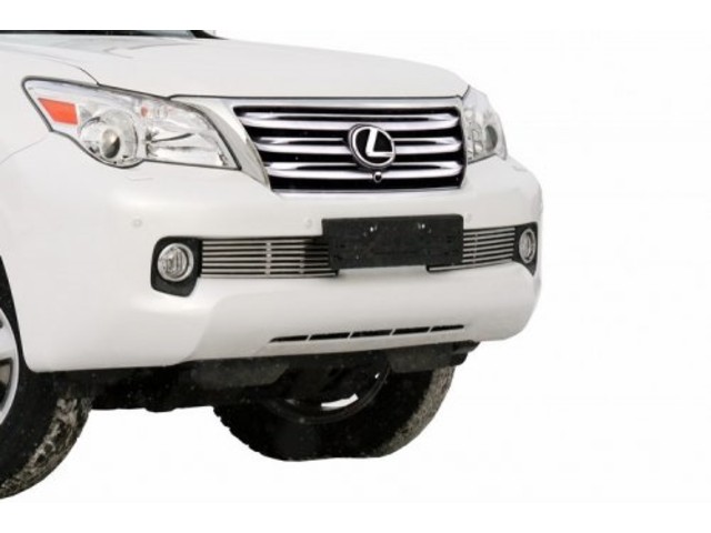 

Декоративный элемент воздухозаборника Souz-96 для Lexus GX 460 2009-2012, d10, 2 шт