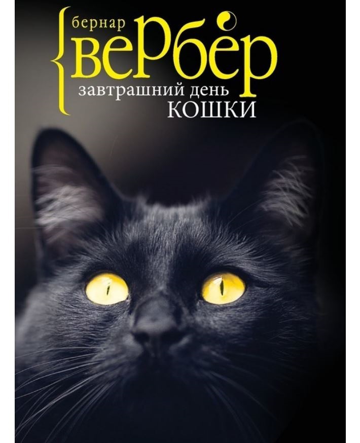 

Завтрашний День кошки