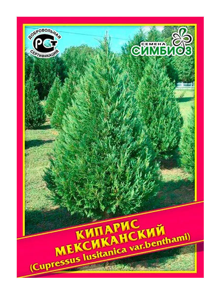 

Семена Кипарис Мексиканский, 0,1 г Симбиоз