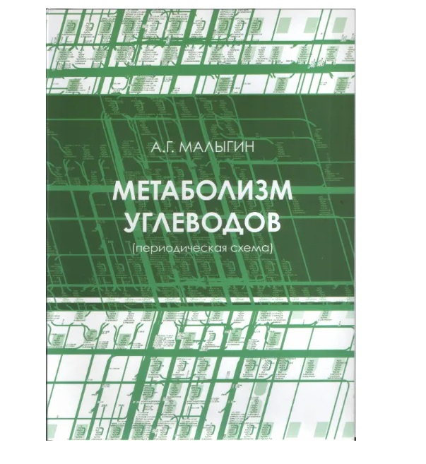 

Метаболизм углеводов (периодическая схема) / Малыгин А.Г.