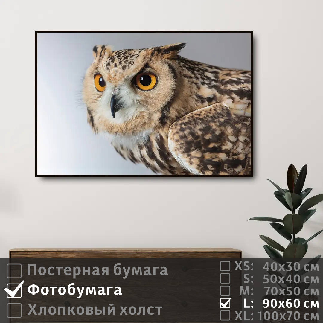 

Постер на фотобумаге ПолиЦентр Сова следит глазами 90х60 см, СоваСледитГлазами