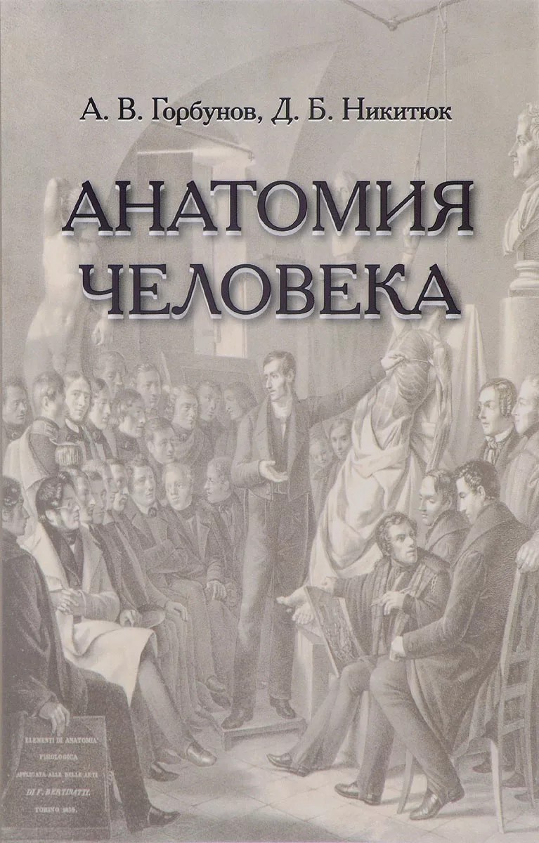 

Книга Анатомия человека: Учебник СПО / Горбунов А.В., Никитюк Д.Б.