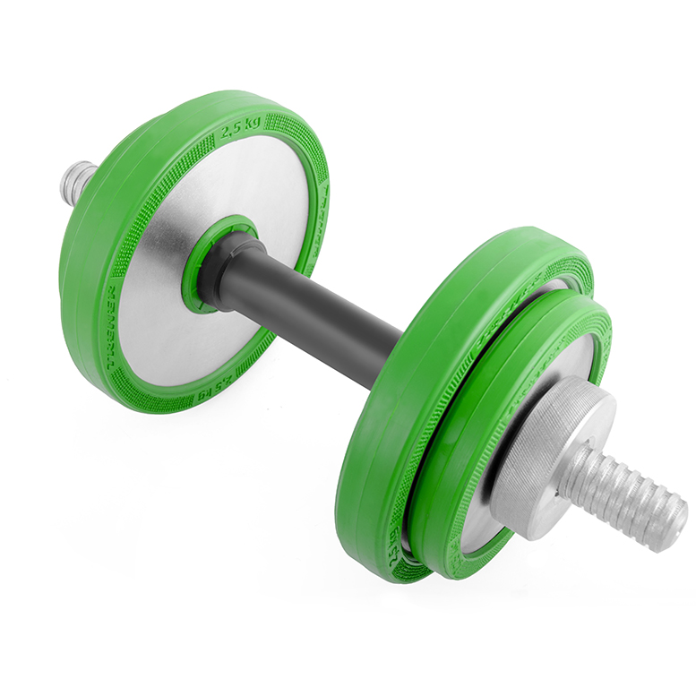 

Разборная гантель Flexter Trener 1 x 10 кг, зеленый, Trener