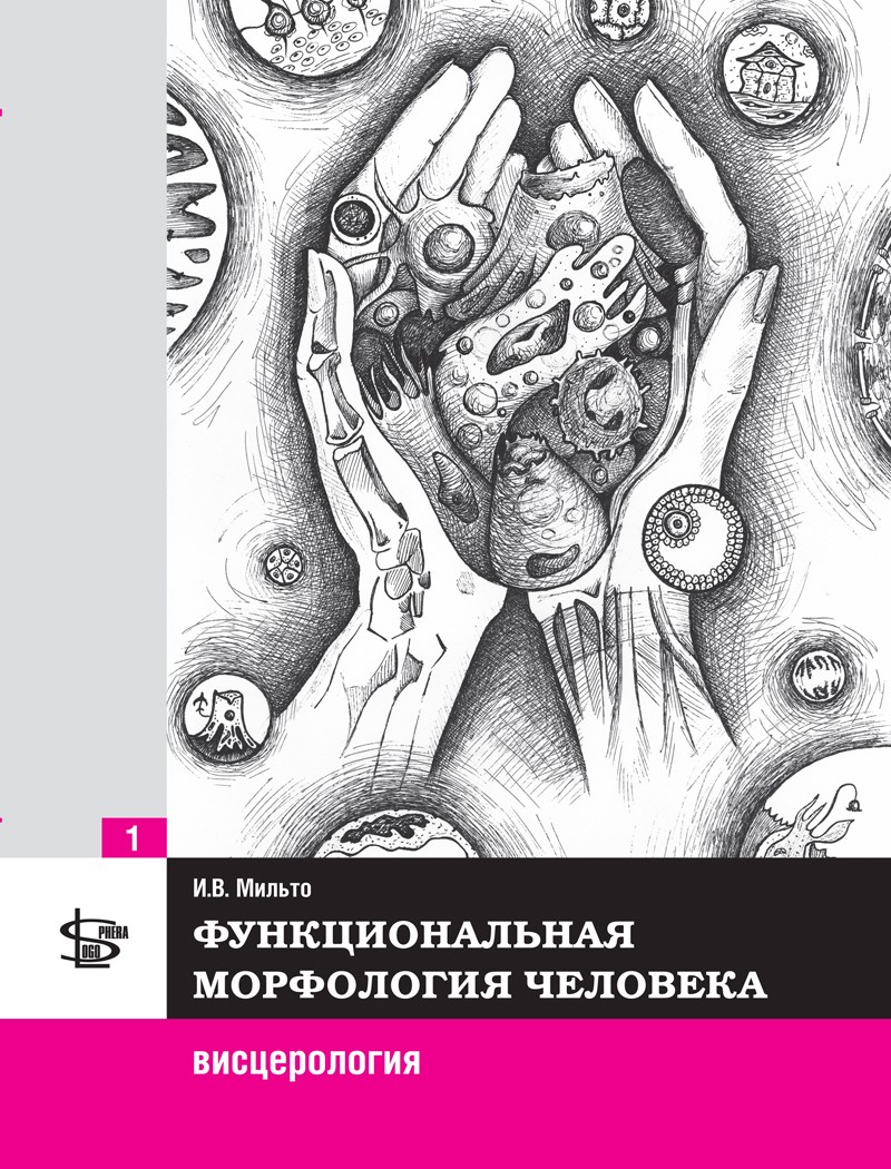 фото Книга функциональная морфология человека: висцерология. т.1. учебник / мильто и.в. логосфера