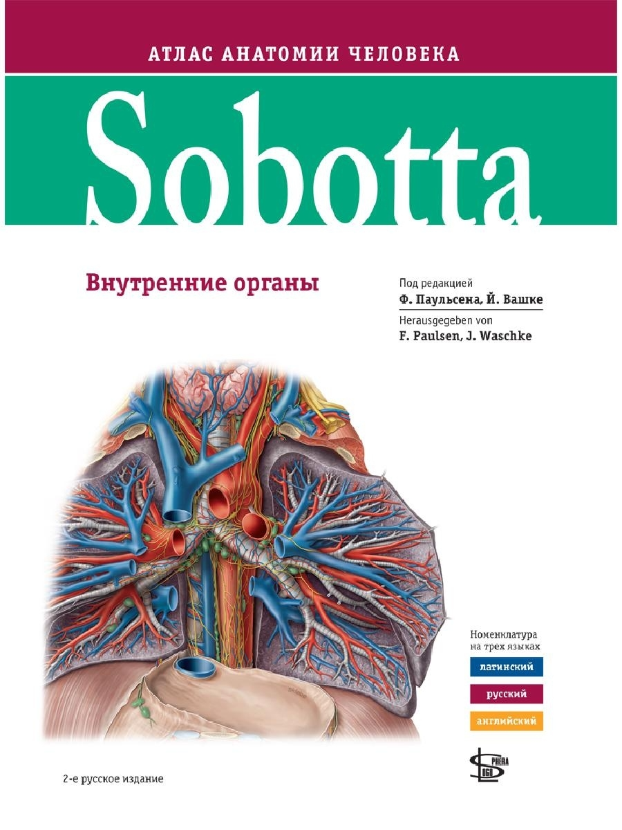 фото Книга sobotta. атлас анатомии человека том 2, изд.2 / соботта иоханнес / редакция ф. па... логосфера