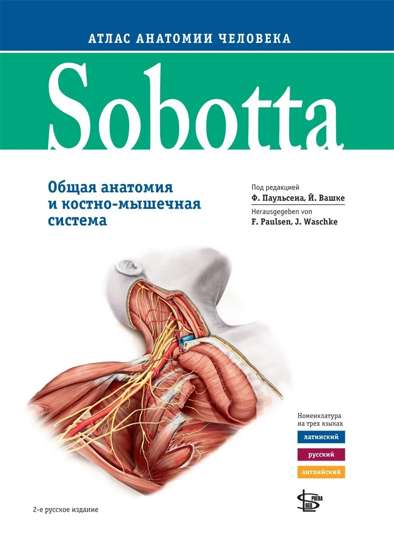 фото Книга sobotta. атлас анатомии человека том 1, изд.2 / соботта иоханнес / редакция ф. па... логосфера