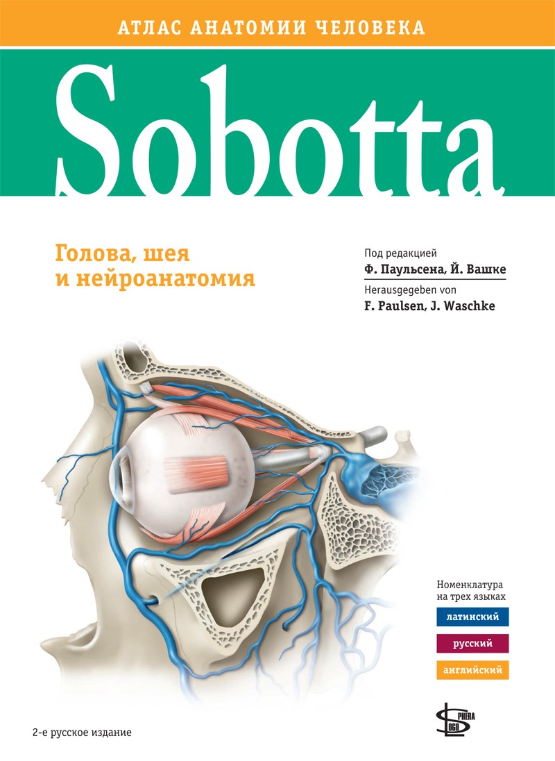 фото Книга sobotta. атлас анатомии человека том 3, изд.2 / соботта иоханнес / редакция ф. па... логосфера